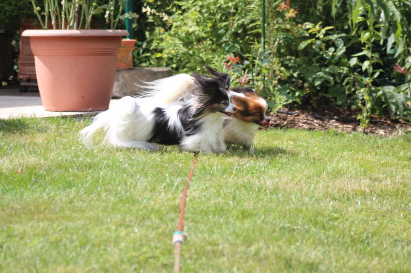 Besuch von Alex und Colin 