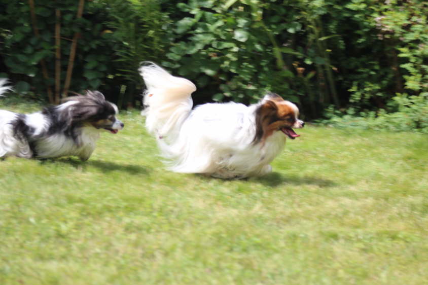 Besuch von Alex und Colin 