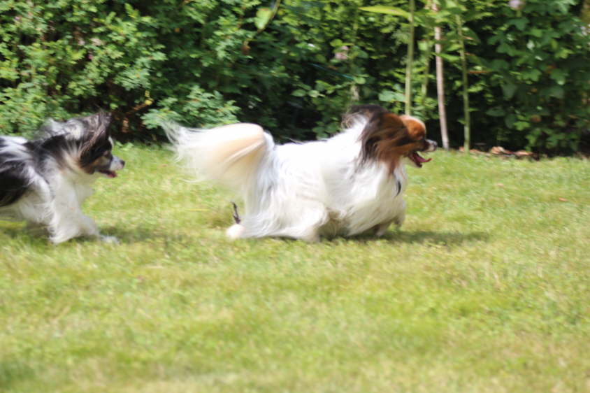 Besuch von Alex und Colin 