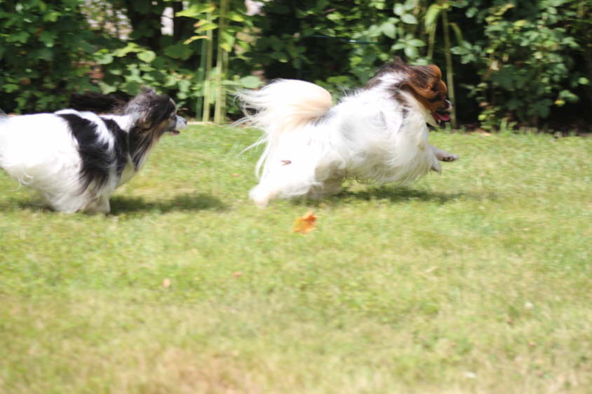 Besuch von Alex und Colin 