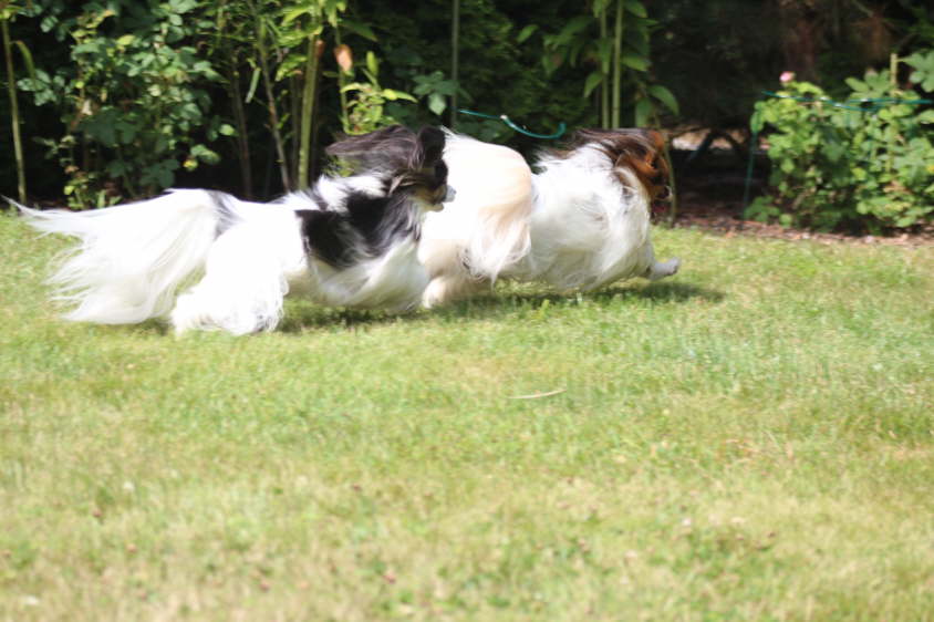 Besuch von Alex und Colin 