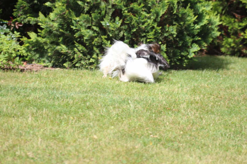 Besuch von Alex und Colin 