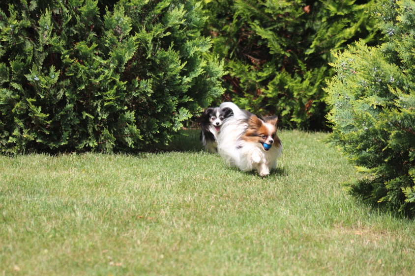 Besuch von Alex und Colin 