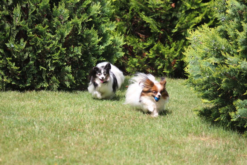 Besuch von Alex und Colin 