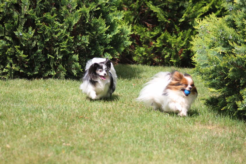 Besuch von Alex und Colin