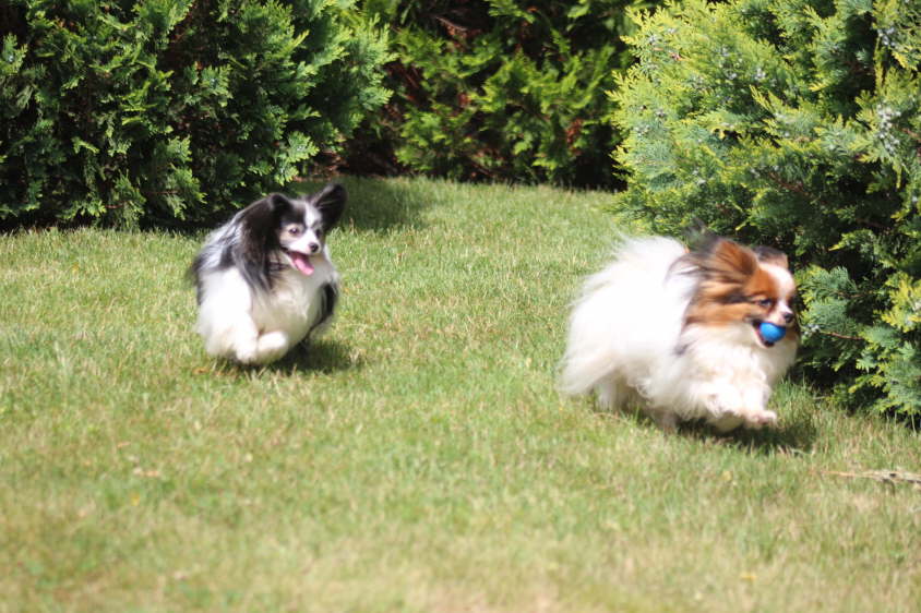 Besuch von Alex und Colin 