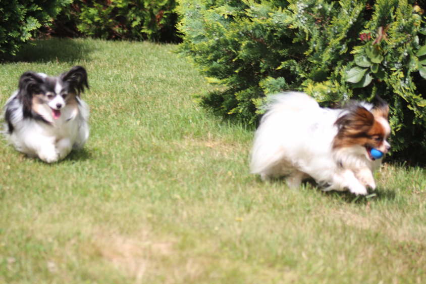 Besuch von Alex und Colin 