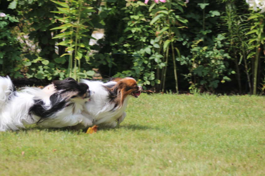 Besuch von Alex und Colin 