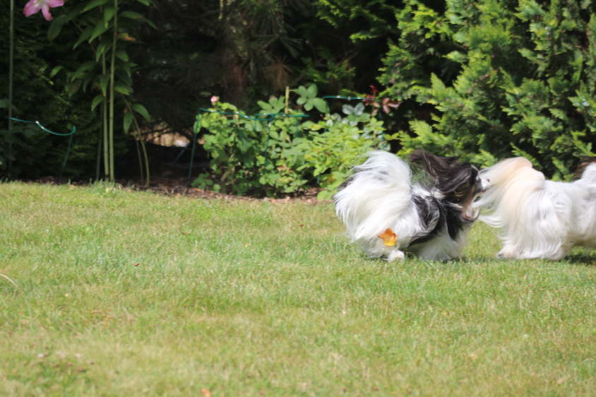 Besuch von Alex und Colin 