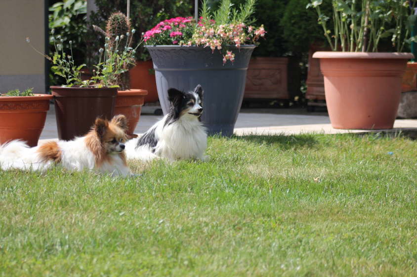 Besuch von Alex und Colin 