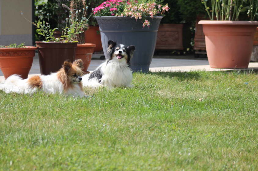 Besuch von Alex und Colin 