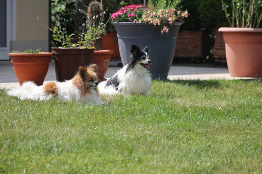 Besuch von Alex und Colin 