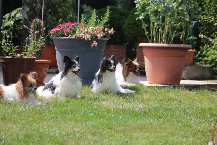 Besuch von Alex und Colin 