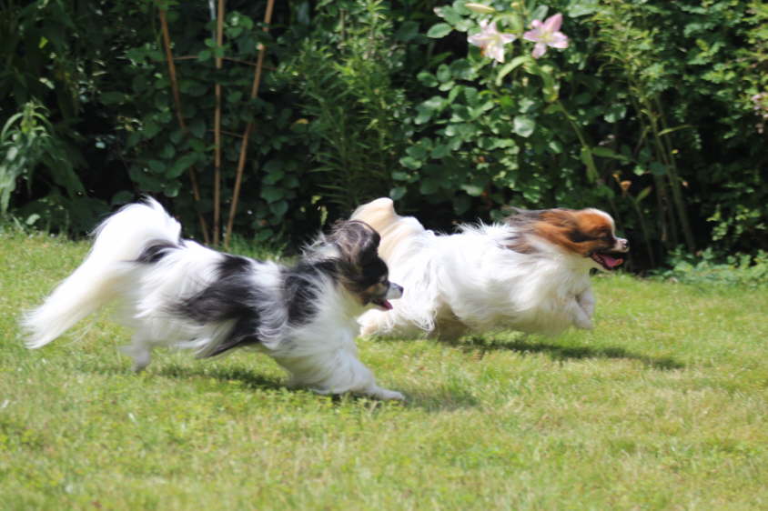Besuch von Alex und Colin