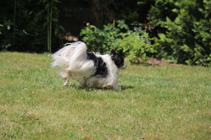 Besuch von Alex und Colin 