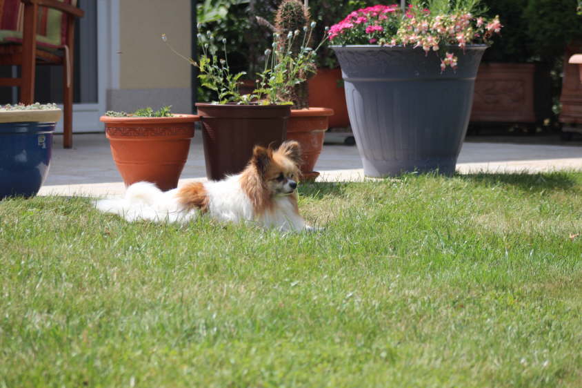 Besuch von Alex und Colin