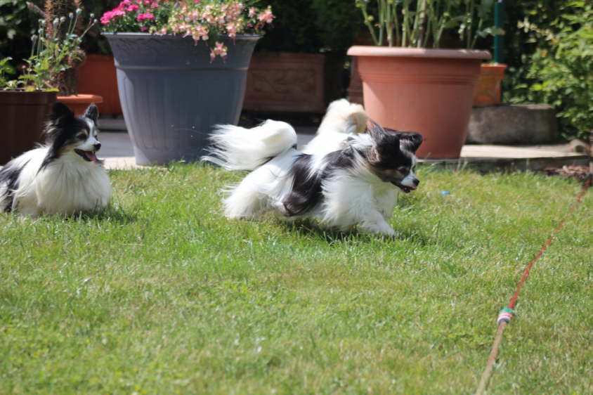 Besuch von Alex und Colin 