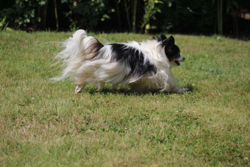 Besuch von Alex und Colin 