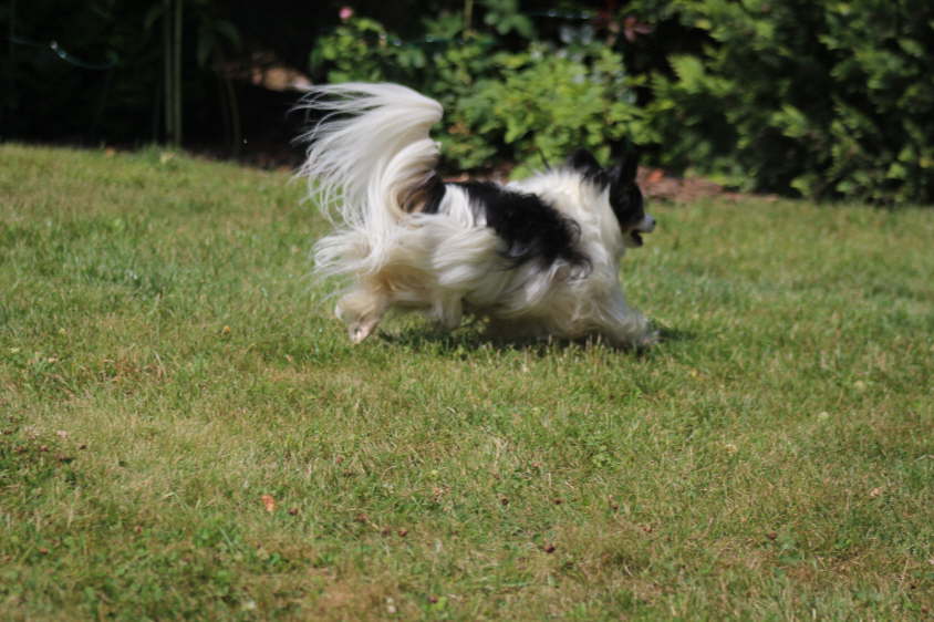 Besuch von Alex und Colin