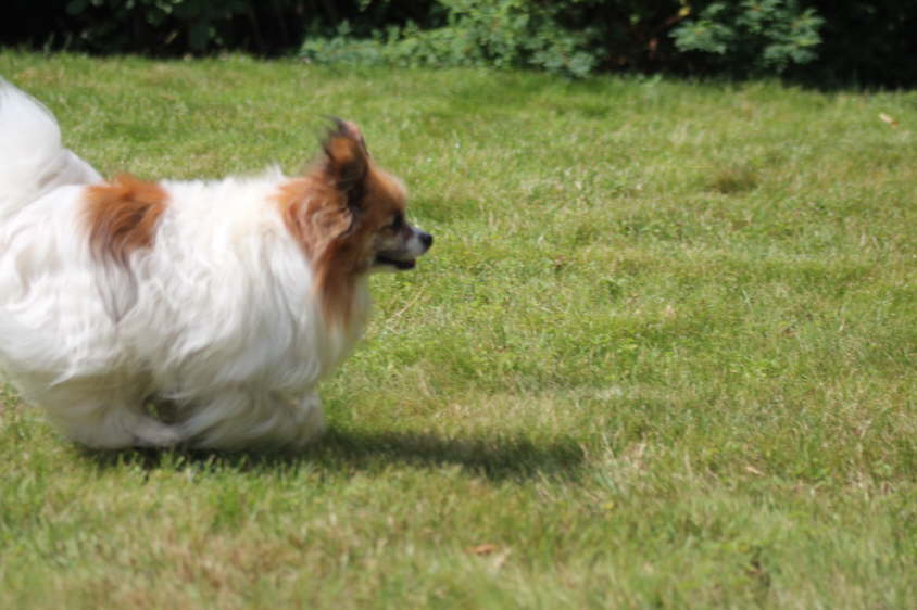 Besuch von Alex und Colin