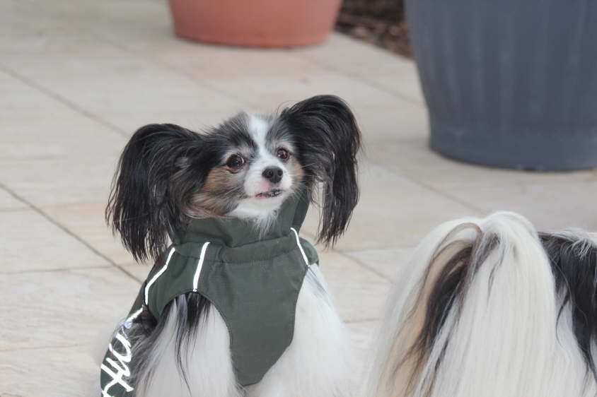 Besuch von Alex und Colin 