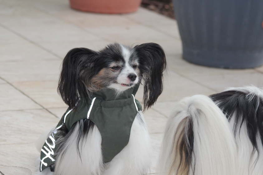 Besuch von Alex und Colin