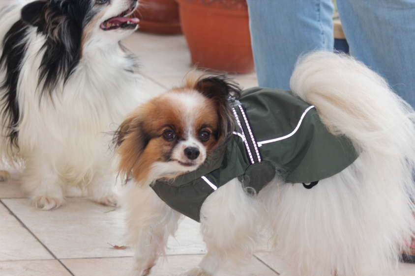 Besuch von Alex und Colin