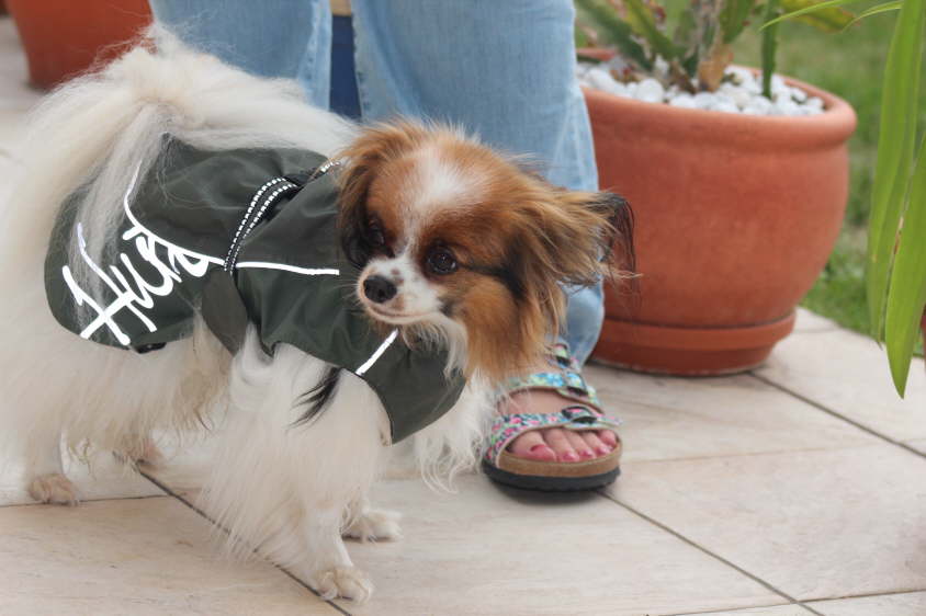 Besuch von Alex und Colin 