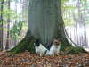 gro und klein