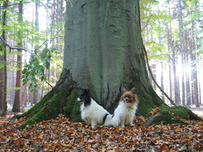 gro und klein