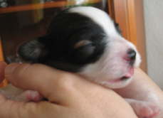 Alina ffnet die Augen