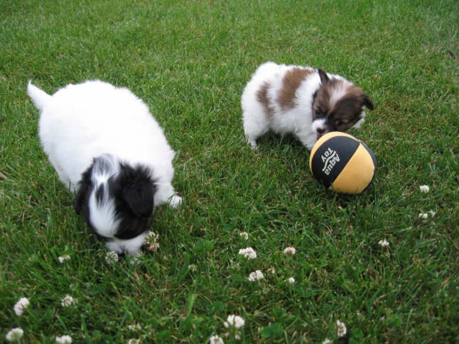 Adelina und Alex