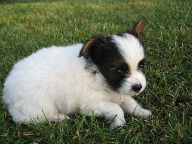 Ich kann ja so s kucken.