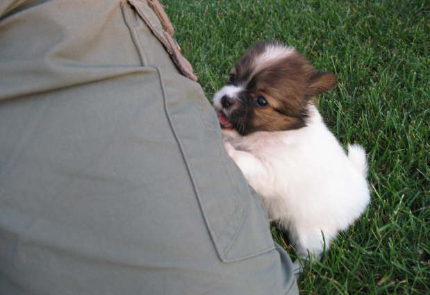 He, nimm mich mal hoch!