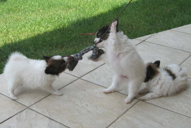 Spter gehe ich mal in den Zirkus.