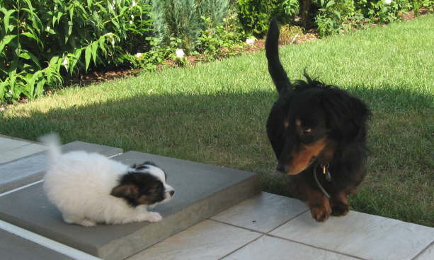 Los! Zeig mal, was du drauf hast!