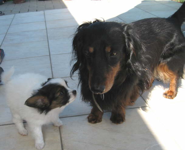 Wau, der ist ja so coooool!