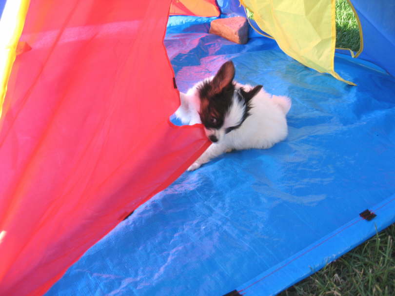 Wie geht das denn zu?