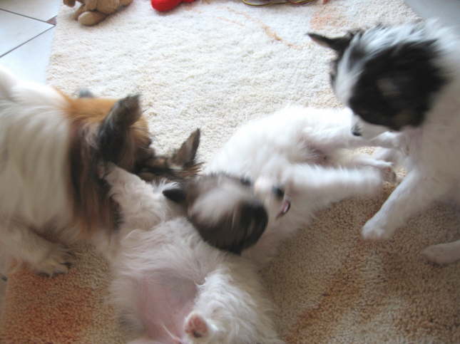 Und Action!