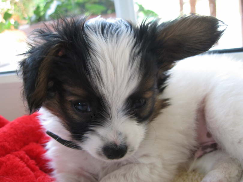 Nanu, mein Ohr ist wohl auch mde.