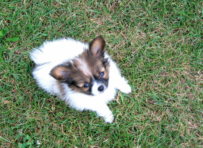 Ich wachse doch noch!