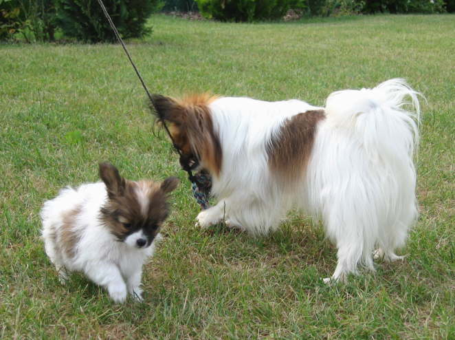 Mama ist ja doch strker.