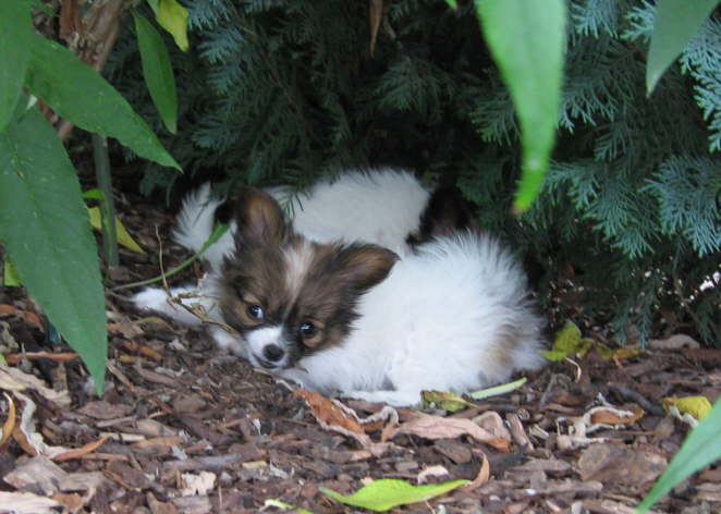 Schon wieder gefunden.