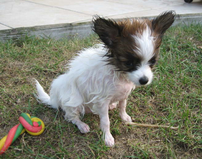 Irgendwie unvorteilhaft meine Frisur.