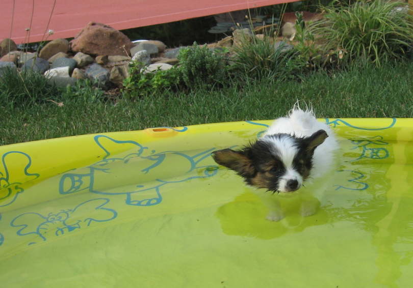 Mir steht das Wasser bis zum Hals.