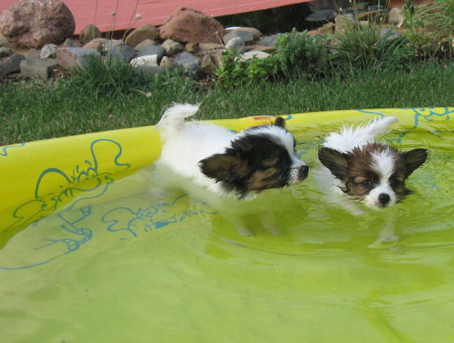 Und ich kann schwimmen!