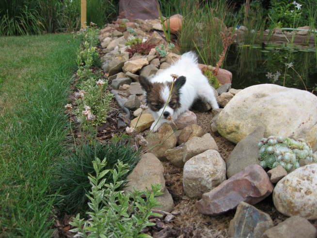 Das probiere ich auch mal.