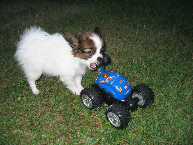 Soll ich mal anschieben?