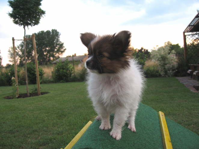 Hier oben gefllts mir prima.