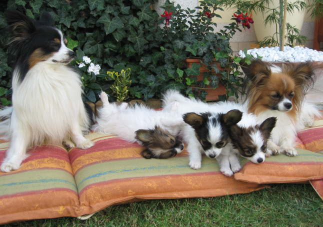 Familie
